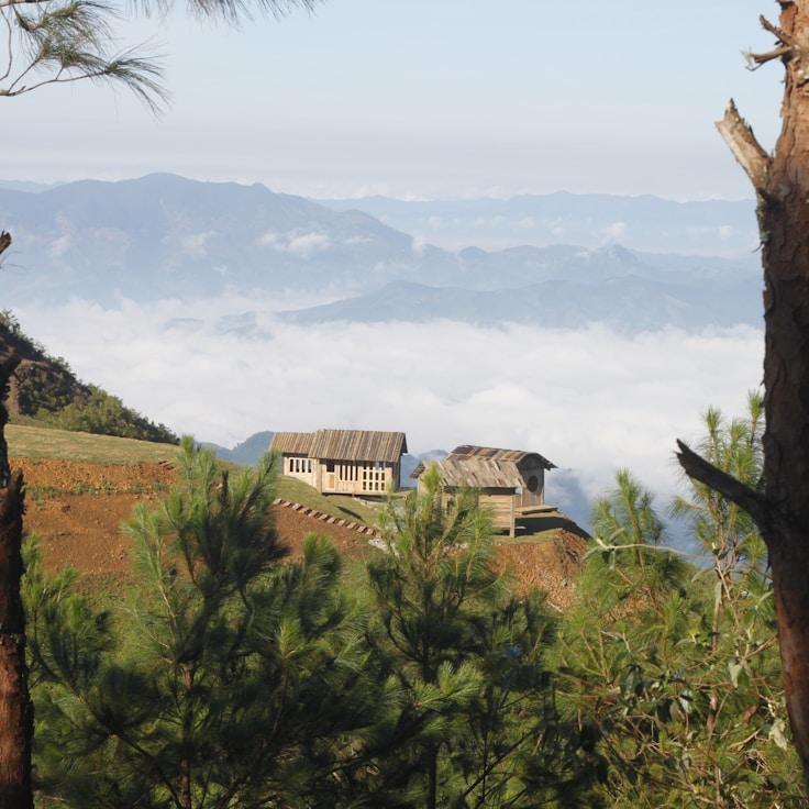 Family terraces and cafés for calm evenings in London